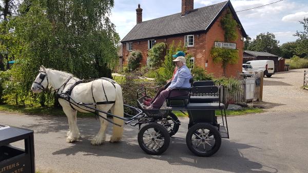 Pubn Horse & Cart - Large